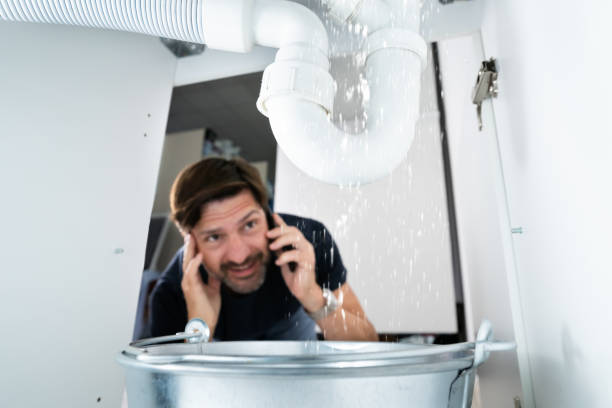 Best Residential Plumbing Services  in Brillion, WI