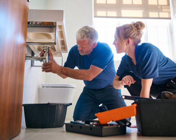 Best Local Plumber Services  in Brillion, WI