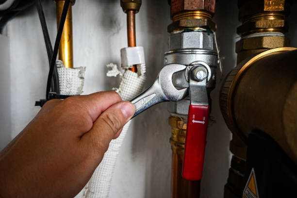 Best Plumbing Inspection Services  in Brillion, WI